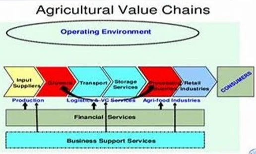 Agribusiness Value Chains Services